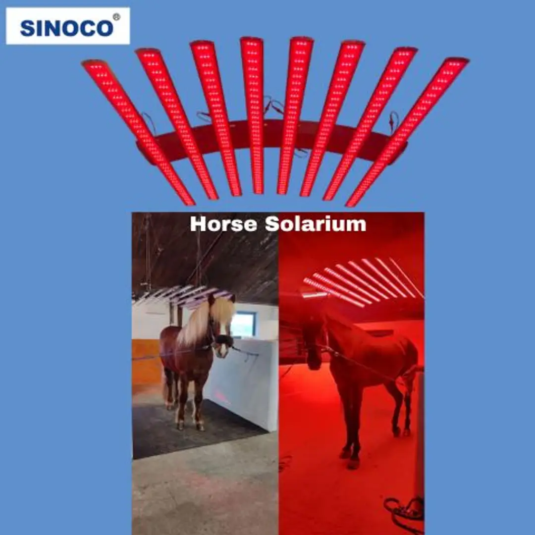 6836a8f93420928fd48e6a27